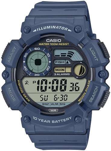 Zegarek Casio WS-1500H-2AVEF