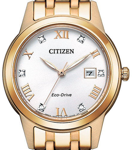 Zegarek Citizen Eco-Drive FE1243-83A